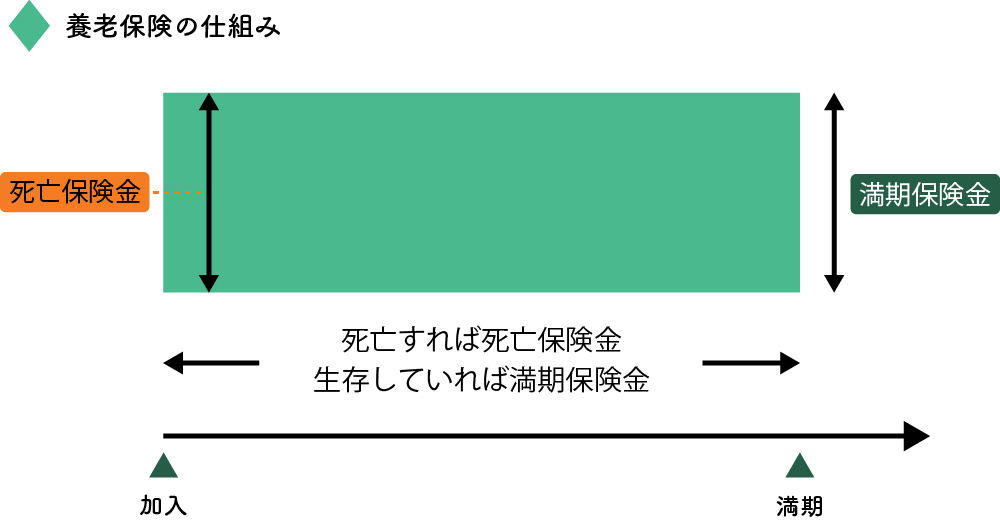 養老保険の仕組み