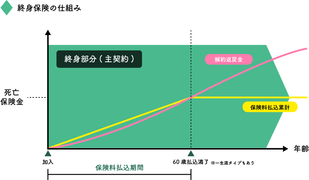 終身保険のしくみ